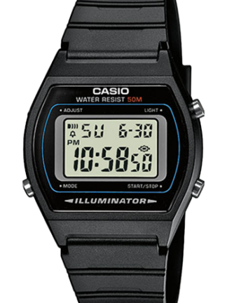 CASIO COLLECTION W-202-1AV